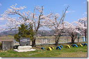 桜の風景-4