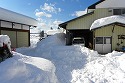 大雪の被害(機械倉庫)風景-6