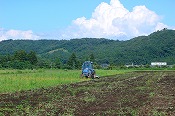 蕎麦畑の耕作風景(090803)-1