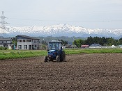 肥料蒔き作業-2